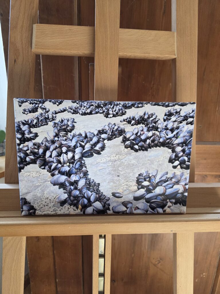 Halt in den Gezeiten