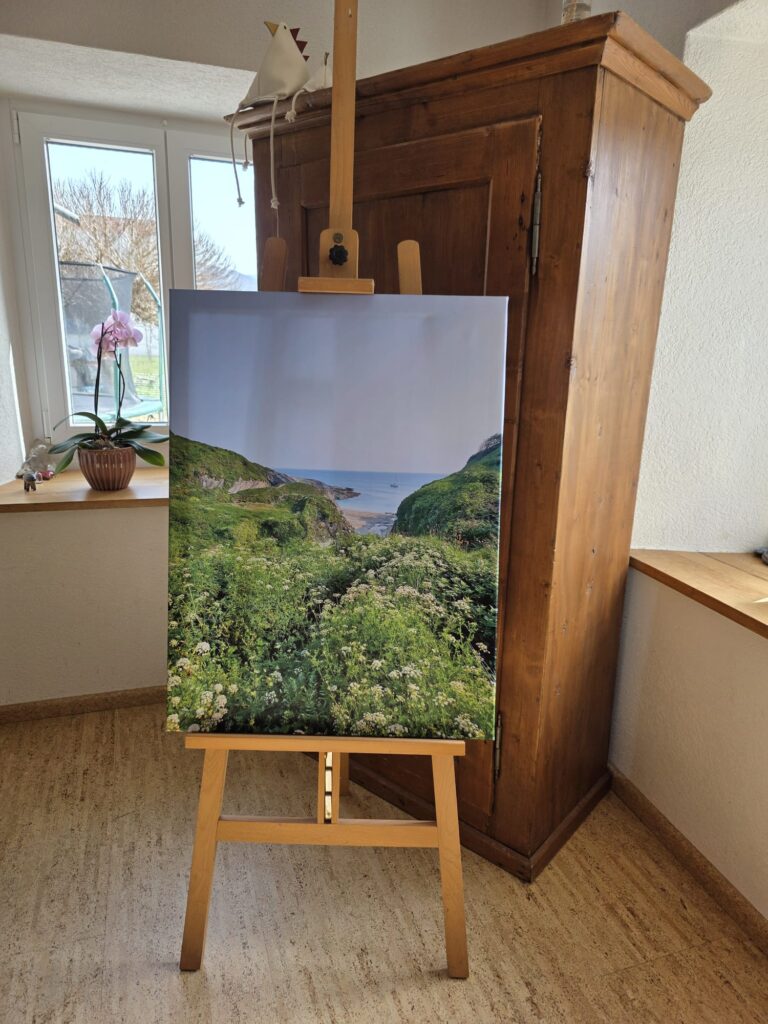 Blütezeit am Atlantik