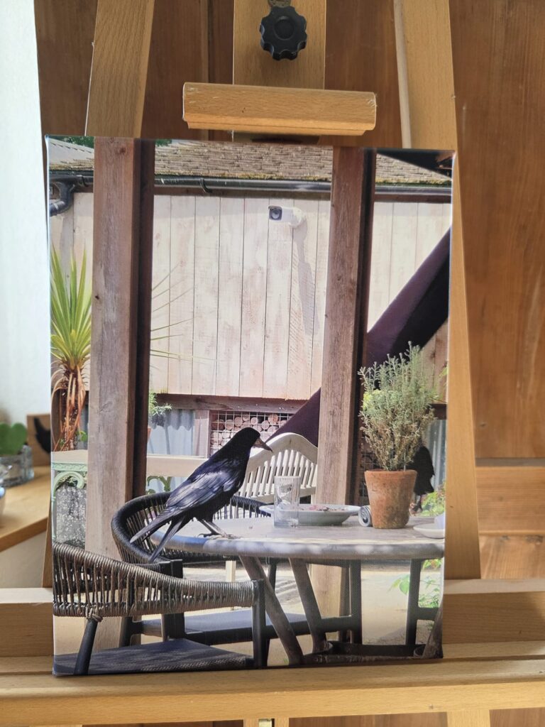 Besuch beim Auschecken